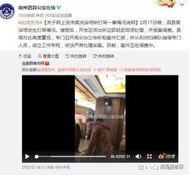 泗水吃瓜事件详解视频,揭秘背后真相与争议