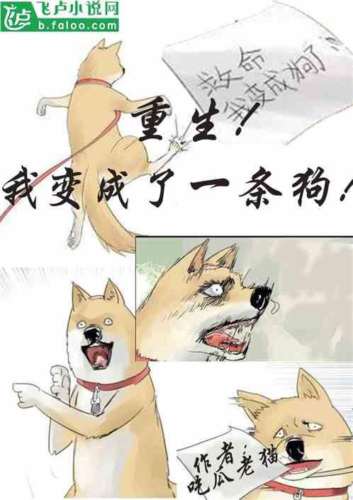 朝廷吃瓜小说全文阅读,宫廷秘闻，权谋风云