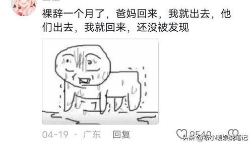 吃瓜爆炸的视频,惊心动魄的瞬间回顾