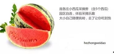 描写吃瓜味道片段,探寻夏日消暑美食的味蕾之旅