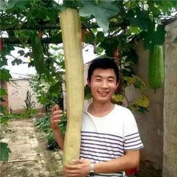 农村小伙路边吃瓜,感受乡村生活惬意时光