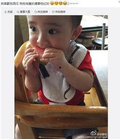 吃瓜萌子,揭秘娱乐圈幕后故事