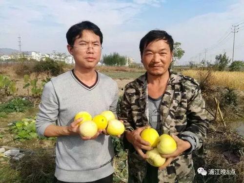 优美吃瓜群众活动