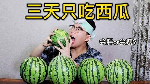 减肥期可以吃瓜,减肥期间的清新选择