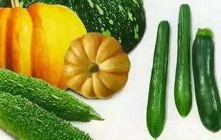 胡六瓜如何吃,解锁美味新体验