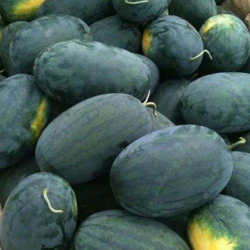 侯府主母在线吃瓜,宫廷风云中的吃瓜达人