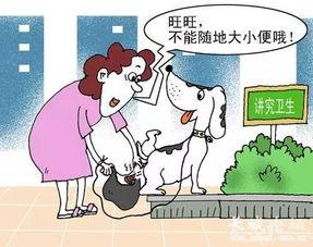 文明吃瓜理性看戏,解码网络舆论背后的真相