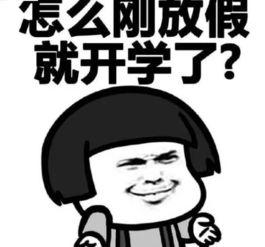 吃瓜磕瓜很快乐的说说搞笑,吃瓜磕瓜的快乐时光