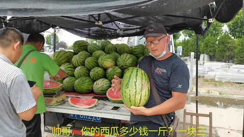 挑瓜吃瓜攻略大全