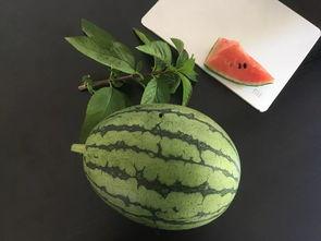 吃瓜师傅,网络红人的崛起与影响力