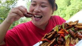 跟着胖妹吃瓜,一起跟着吃瓜之旅