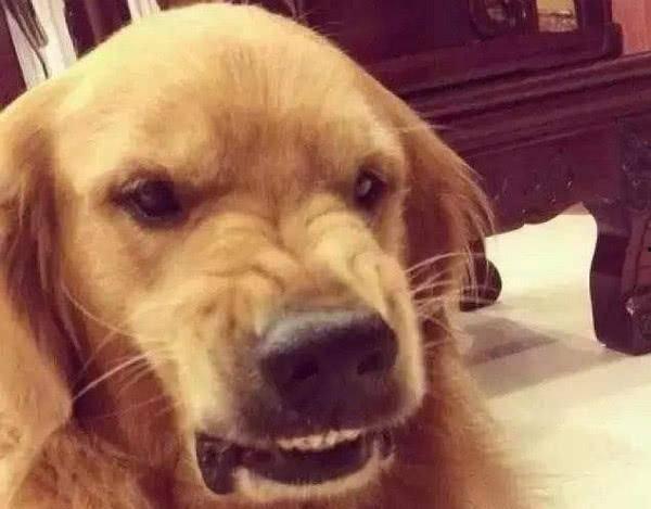 扭头吃瓜,揭秘网络热词背后的趣味与智慧