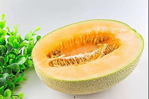 吃瓜太多不好,警惕信息过载的负面影响