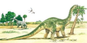 恐龙吃大瓜,揭秘恐龙如何享用巨型大瓜