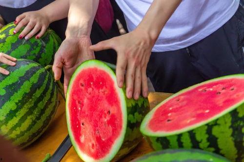 学校吃瓜事件最新,揭秘学校吃瓜事件背后的真相与影响