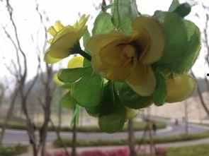 长江工程吃瓜,见证中国水利奇迹的“吃瓜”之旅