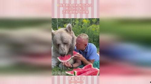 吃瓜的小白熊,吃瓜小白熊的趣味食光之旅