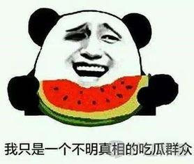 韩语吃瓜博主,揭秘韩国娱乐圈幕后故事